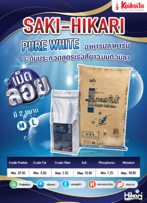 Saki-Hikari Pure White